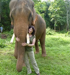 Deborah Aitken Tickling the ivory -- Elephant research project in Thailand